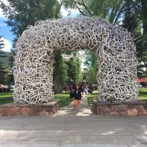 Meet your Posher, Cheyenne